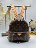 Louis Vuitton Palm Springs Backpack Monogram