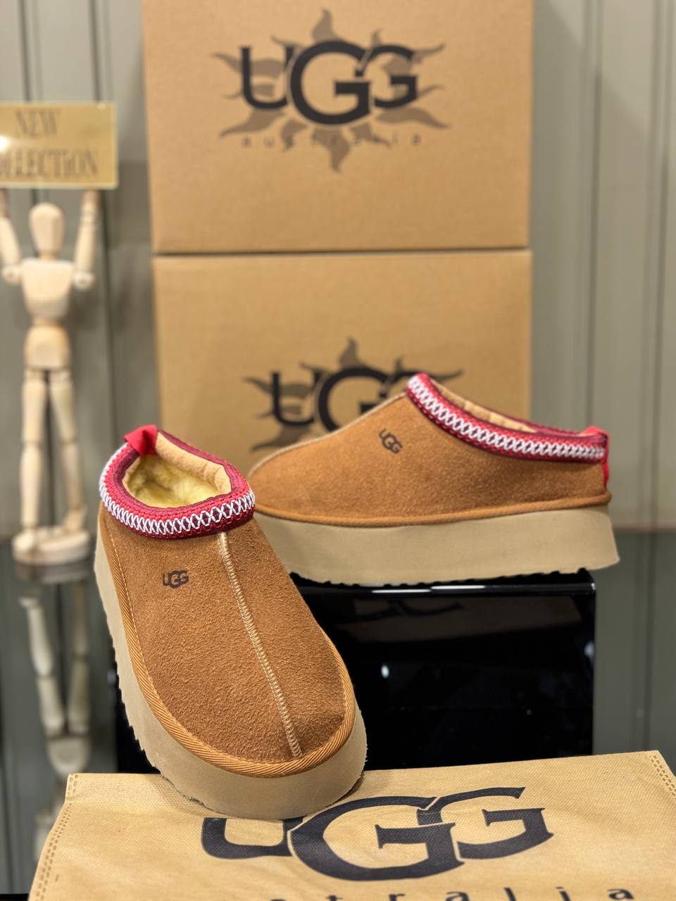 Ugg Tazz Ταμπα