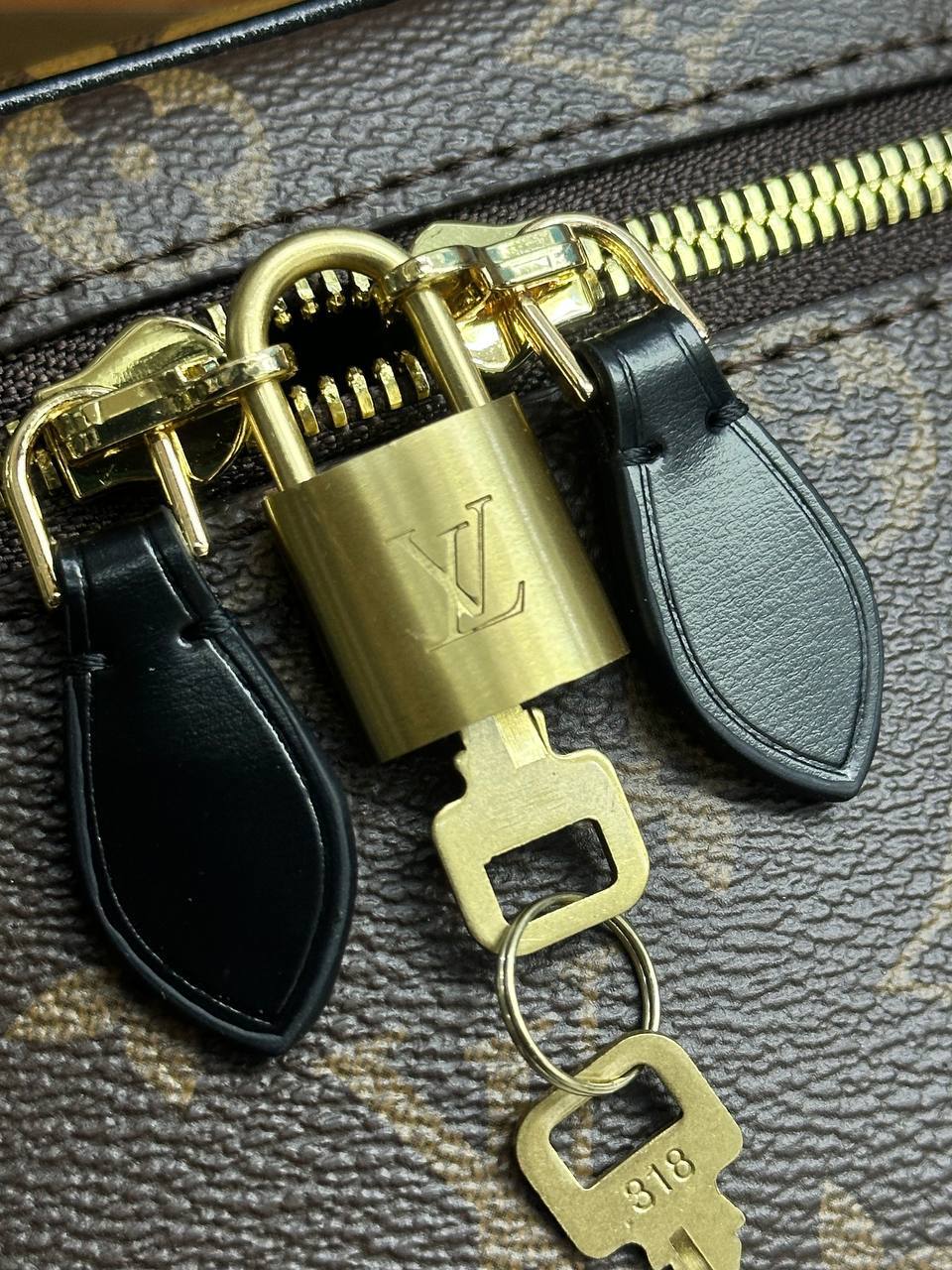 Louis Vuitton Vanity PM Monogram